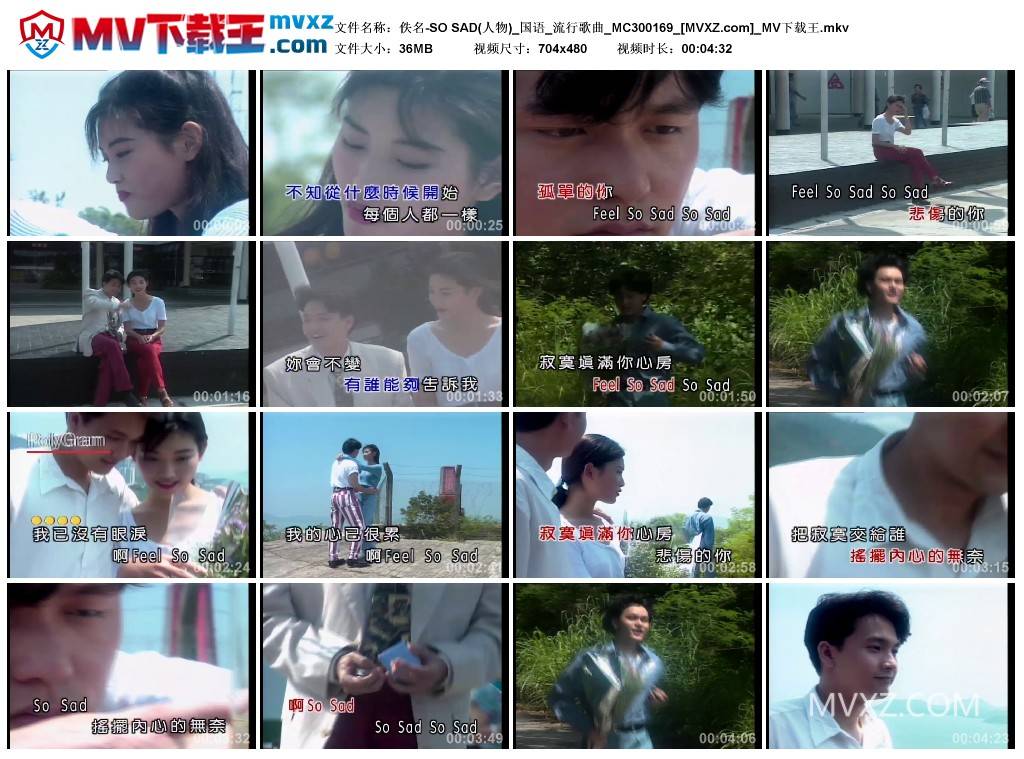 佚名-SO SAD(人物)_国语_流行歌曲_MC300169